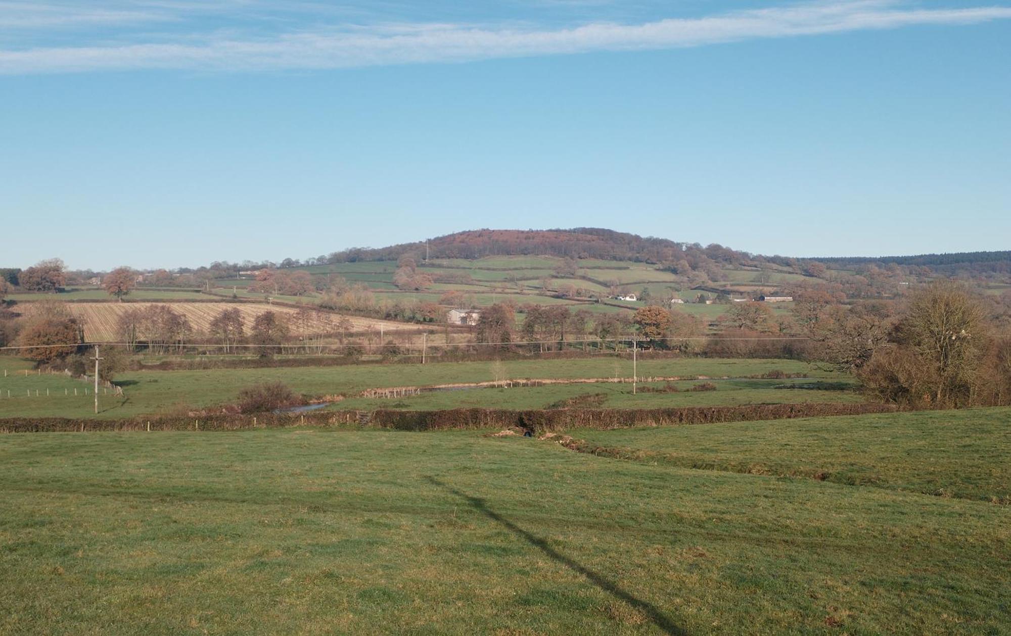 Spacious And Sunny Accommodation With Underfloor Heating Throughout Culmstock Exterior photo